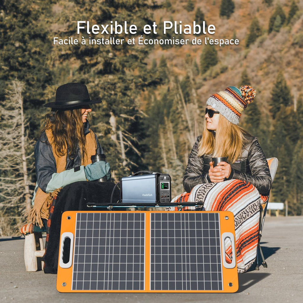 panneaux solaire